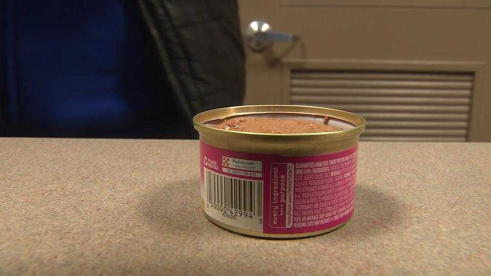 Supply chain issues cause shortage of wet cat food at shelters