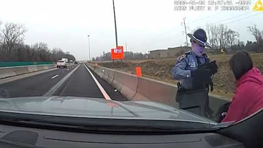VIDEO: Ohio trooper rescues cat from the side of the highway - Vimarsana News