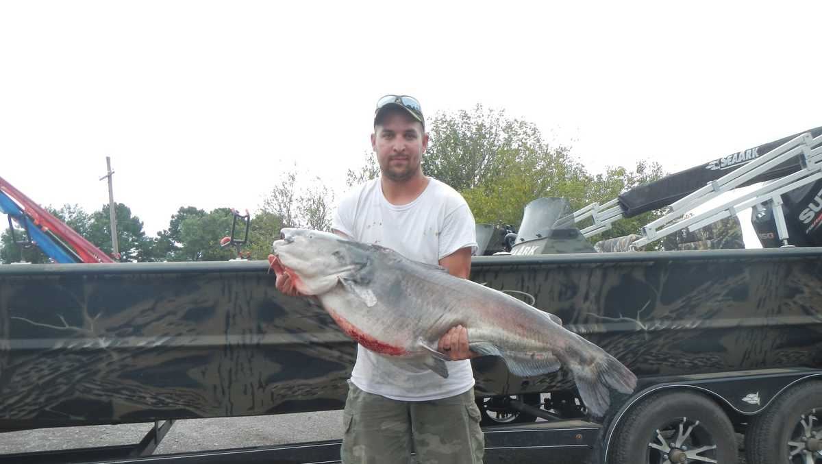 Oklahoma man catches 64.7pound blue catfish