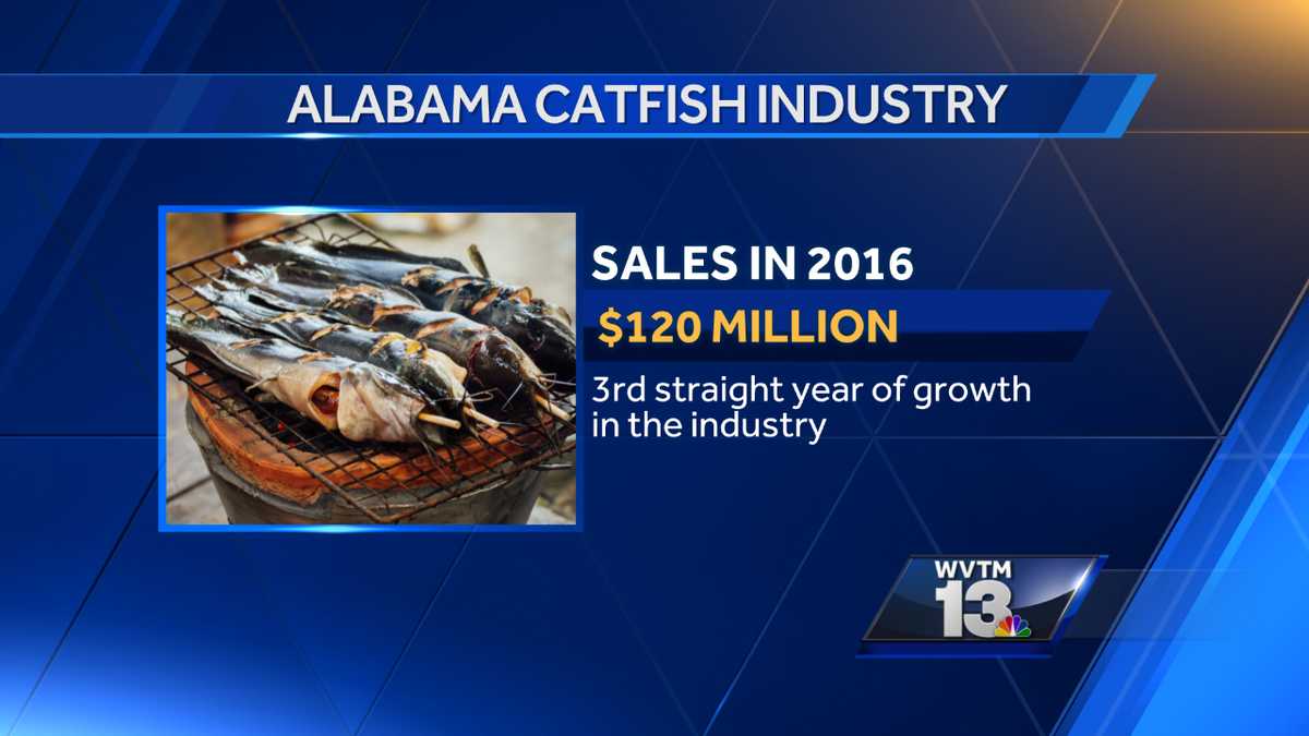 Alabama catfish farmers continue to see growing sales