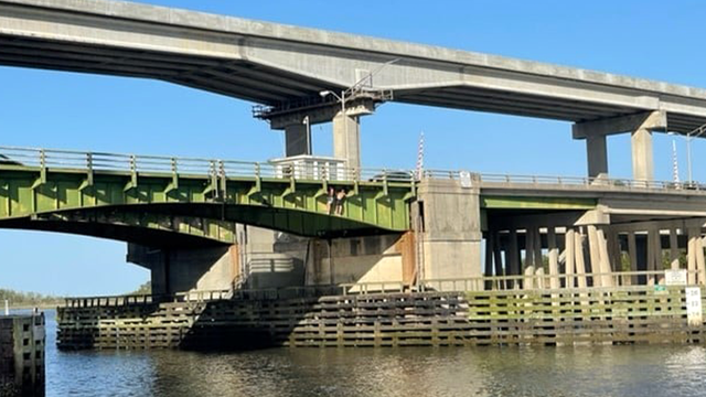 Georgia police issue warning after people spotted bridge jumping - Vimarsana News