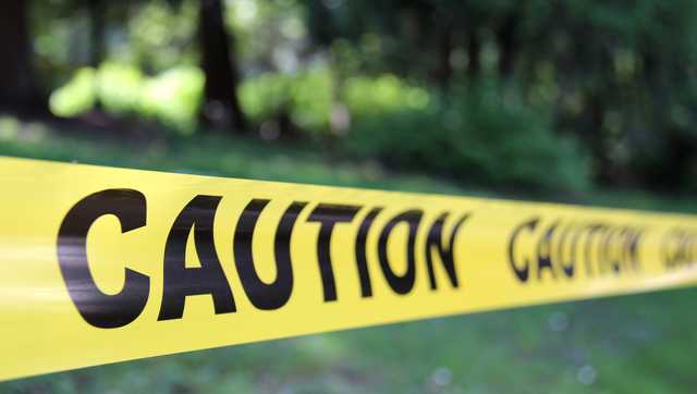 Marion, Iowa house fire kills 2 pets - Vimarsana News
