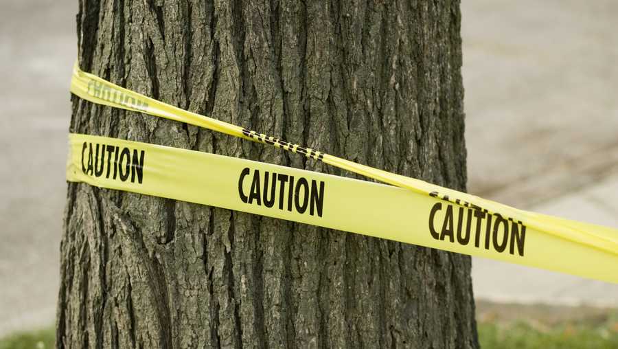 Stock photo of caution tape wrapped around tree