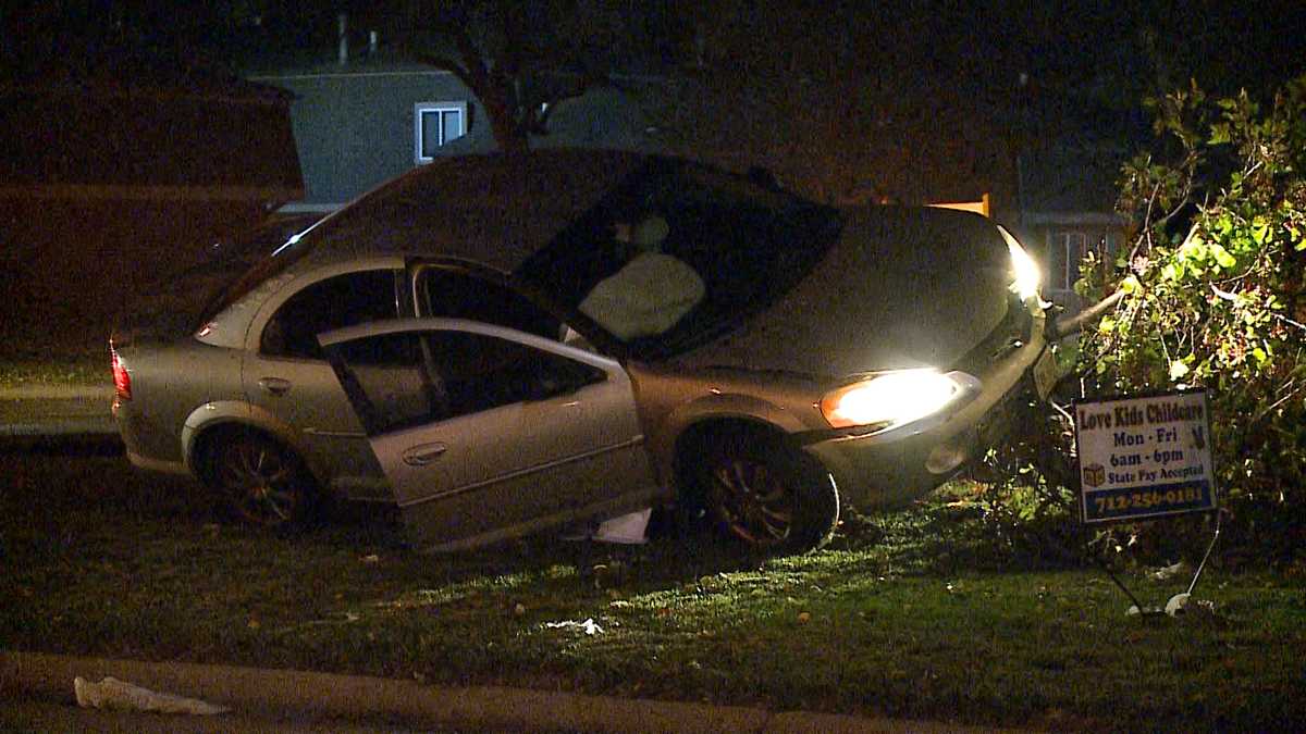 Driver hits tree in overnight crash