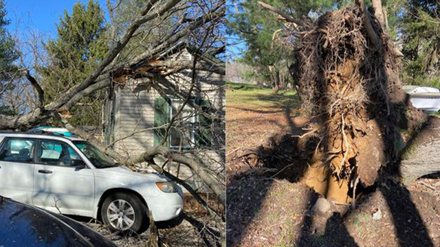 NWS confirms EF-1 tornado hit Cecil County - Vimarsana News