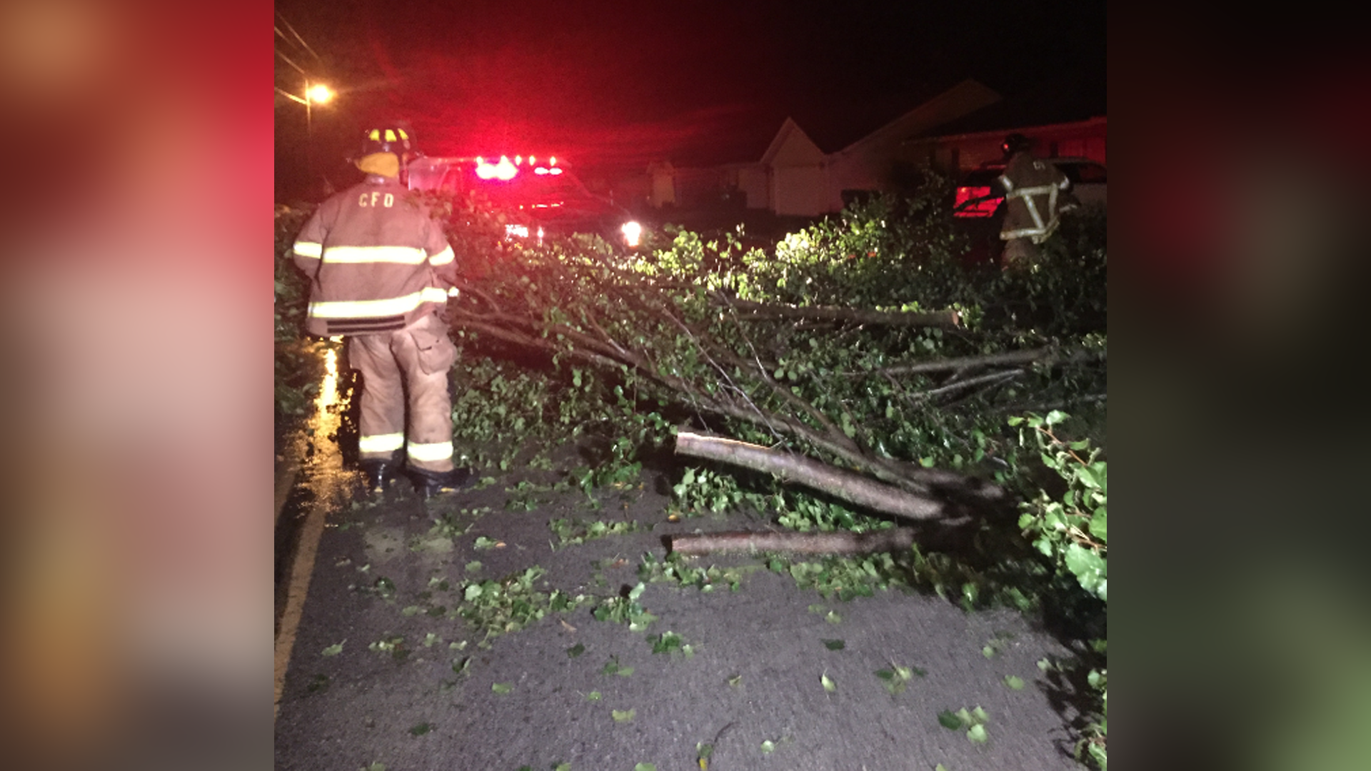 Storms Topple Trees In NW Arkansas