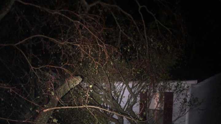 PHOTOS: Storms leave trail of widespread damage across the region