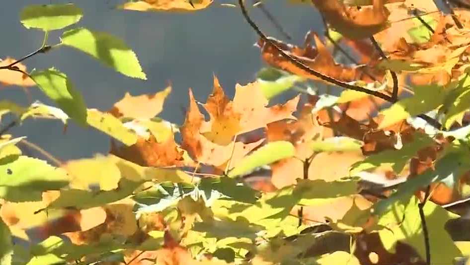 Changing fall colors begin to lure leaf peepers to NH