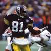 Nice Pittsburgh Steelers Charles Johnson #81 8×10 Photo