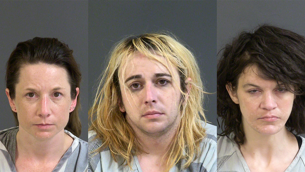 Methamphetamine Sex - South Carolina trio charged in meth, porn, prostitution case