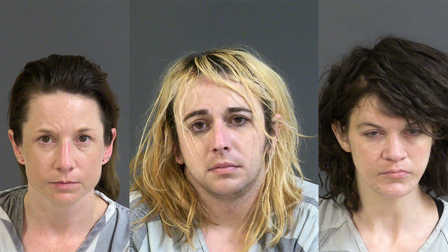 South Carolina trio charged in meth, porn, prostitution case - Vimarsana News