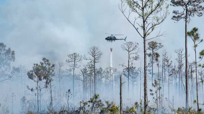 zero-turn lawnmower brush fire 3-11-25