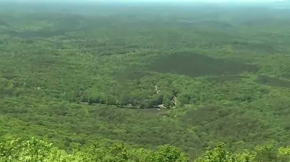 Two women charged in shooting death of Florida man near Cheaha State