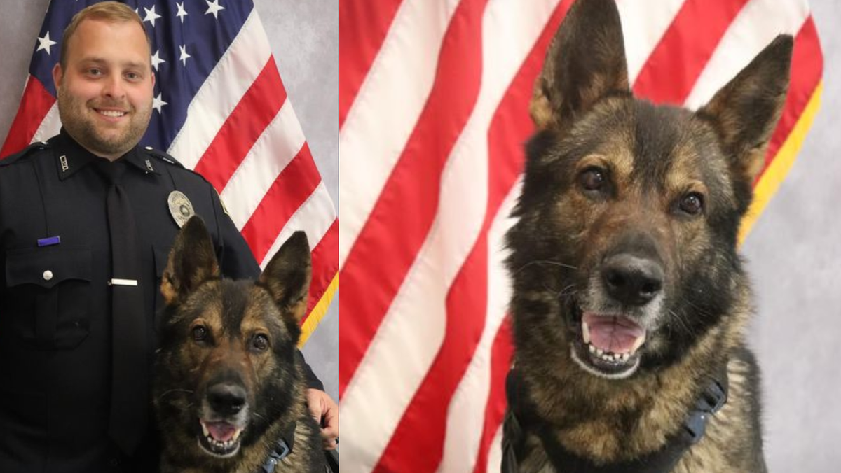 Indiana Police Department Mourns 'unexpected' Death Of K9 Officer