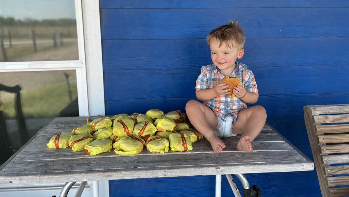 'I hope it spreads a little humor': 2-year old orders 31 cheeseburgers after mom leaves phone unlocked
