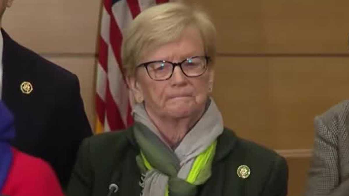 Maine Congresswoman Pingree attends Minnesota field hearing on immigration