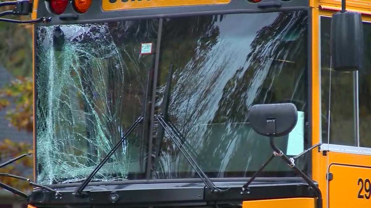 School bus with elementart students on board hits utility pole