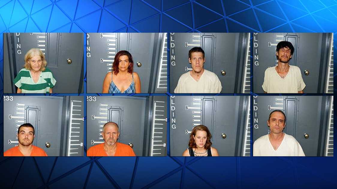8 arrested on drug charges, felony warrants in Cherokee County