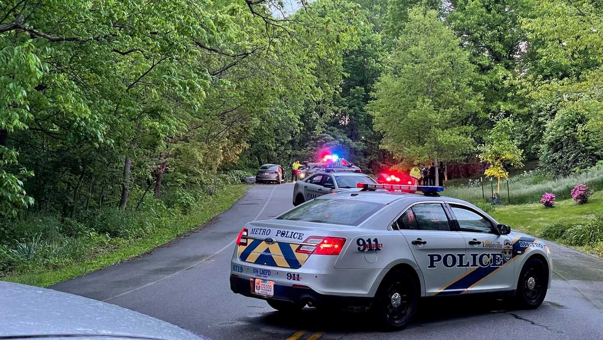Lmpd Woman Dies After Car Crashes Into Tree Near Cherokee Park 