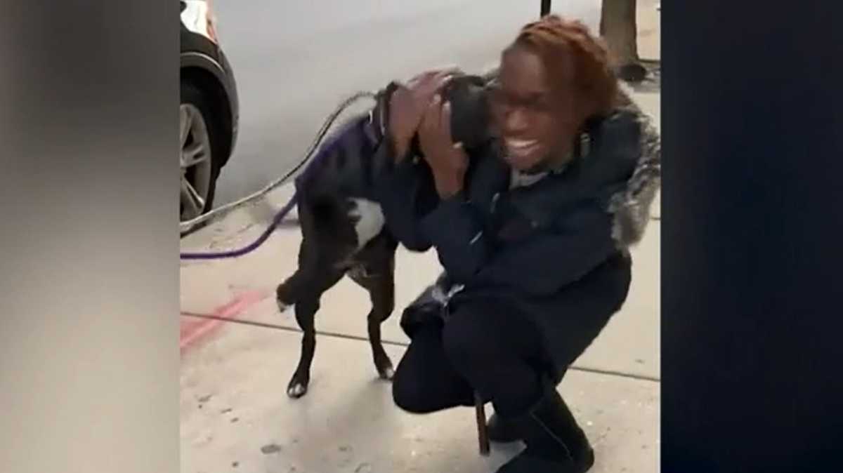 WATCH: Dog gets excited when she's reunited with her owner nearly a ...