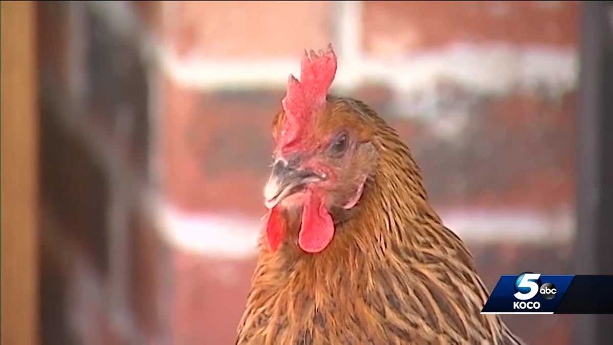 Group tries again to change Edmond City Council members' minds on