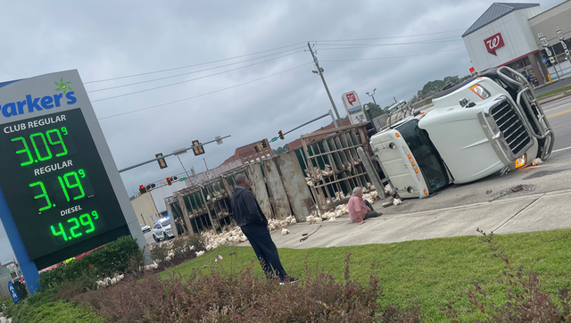 Truck overturns, spilling chickens onto highway in Claxton - Vimarsana News