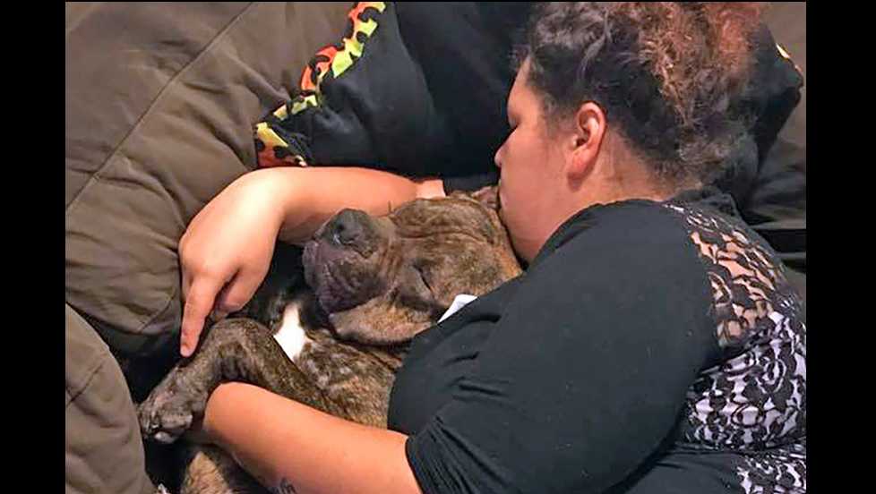 Family’s dog shot, killed by deputy serving warrant on neighbor