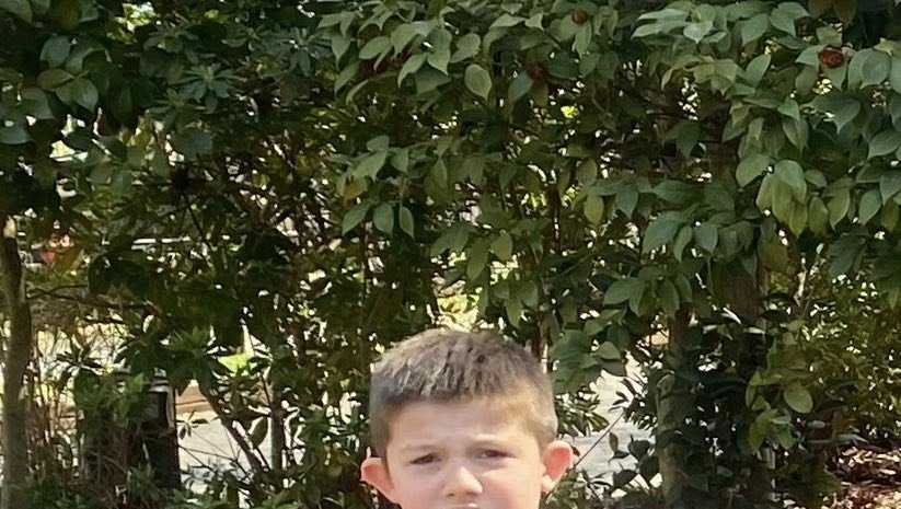 SC: Search underway for missing child in Greenville County