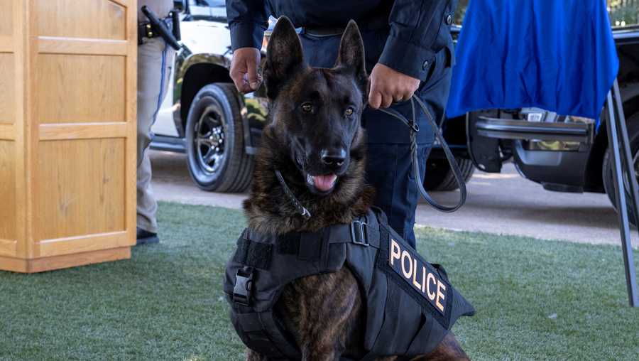 California Highway Patrol graduates 10 new K9 units