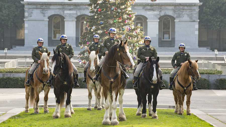 CHP Mounted Patrol Unit will march 2017 Rose Parade