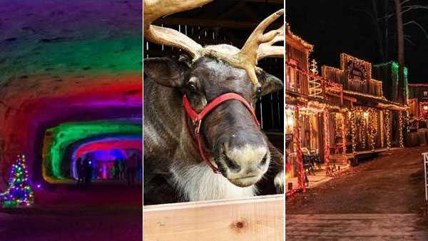 Bowling Green, KY  Christmas Lights, Reindeer Farm & Events