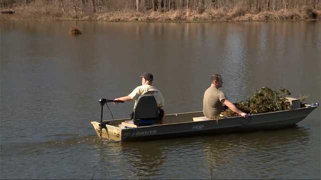 Old Christmas trees used to restore fish habitats - Vimarsana News