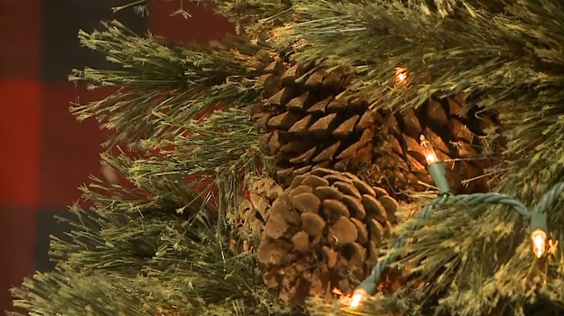 christmas tree, pine cone,