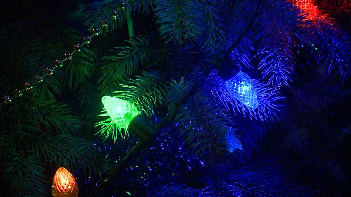 Omaha's Christmas tree disposal sites