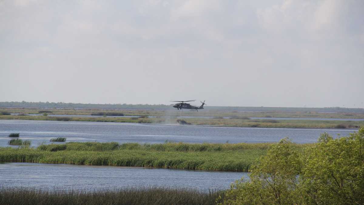 Recycle your tree to help with coastal restoration efforts