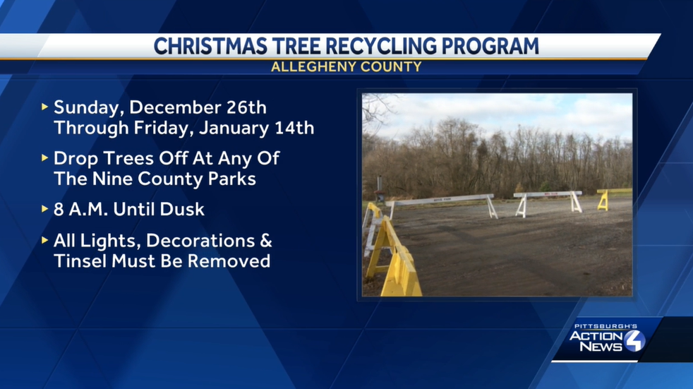 Christmas tree recycling begins in Allegheny County