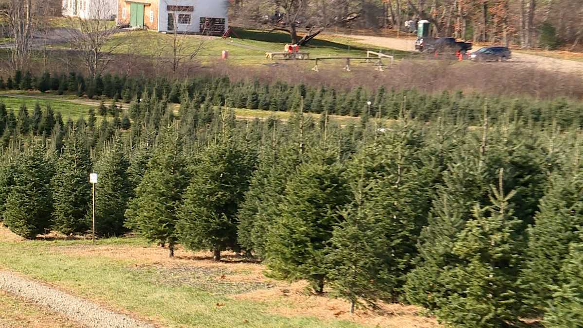 Maine largely spared impact of national holiday shortages