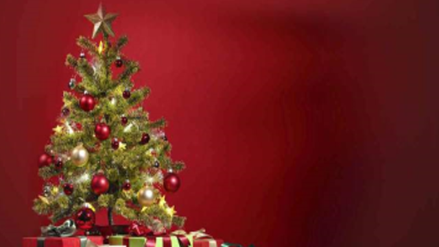 Christmas by the numbers in North Carolina | Raleigh Charlotte Durham - Vimarsana News