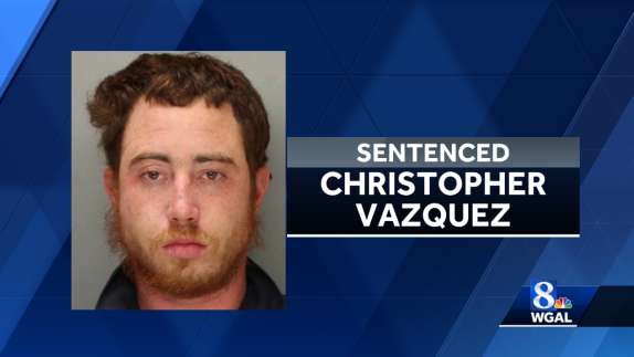 Lancaster man sentenced for damaging city property - Vimarsana News