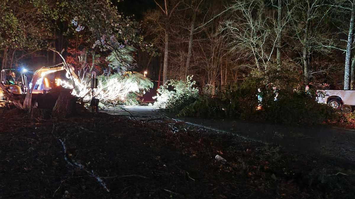 Pickens County: Photos of damage from severe weather