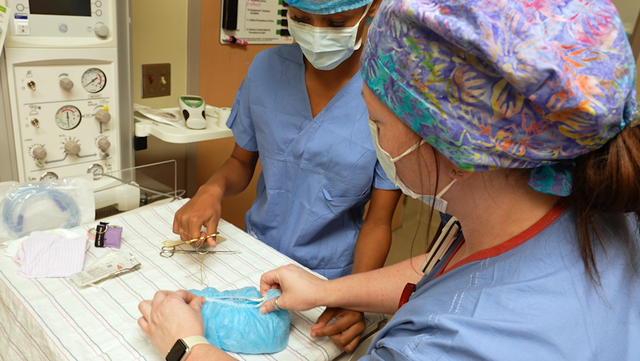 New program in JCPS helping west Louisville students gain career in health care - Vimarsana News