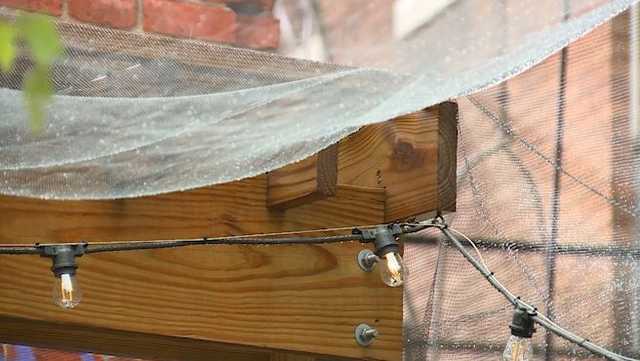 Comfort Station: East Walnut Hills bar creates cicada-free zone - Vimarsana News