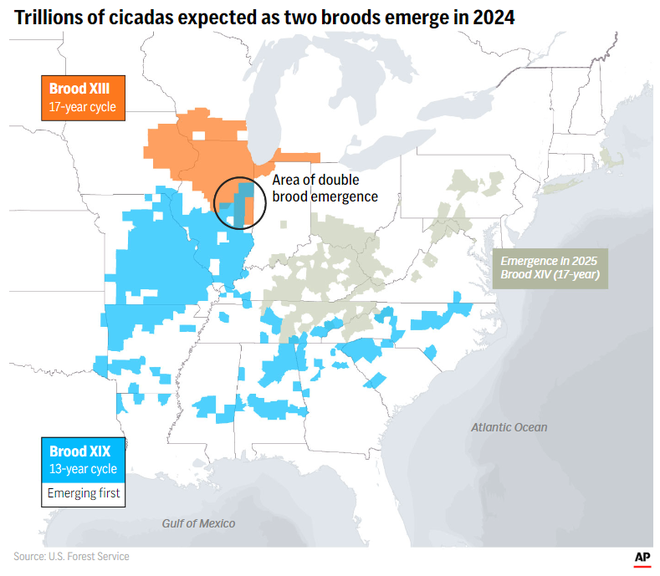 When will cicadas emerge in Iowa this year?