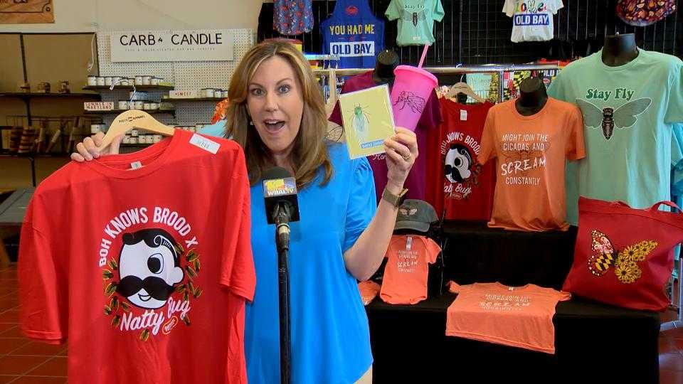 Cicada merchandise takes over Makers of Maryland - Vimarsana News