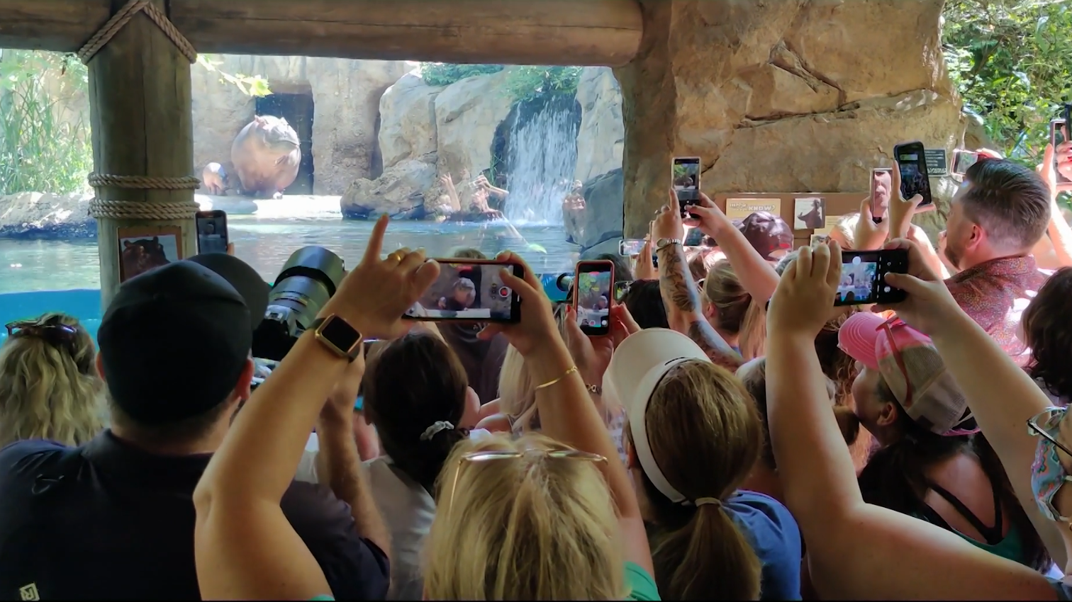 Cincinnati Zoo tax levy increase proposed - Vimarsana News