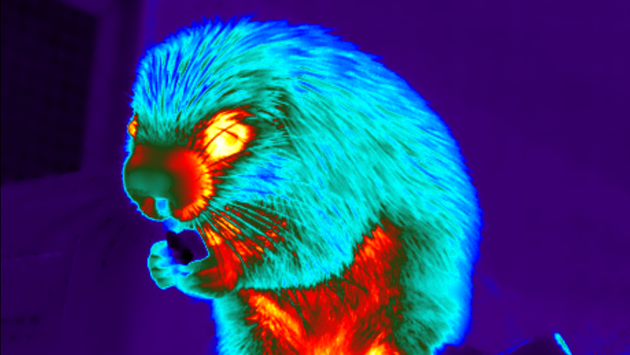remote infrared thermography