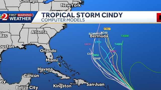 Tropical storm tracker: Cindy forms in Atlantic - Vimarsana News