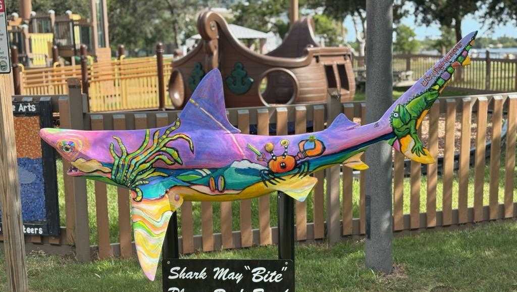 More sharks are popping up in New Smyrna Beach this summer