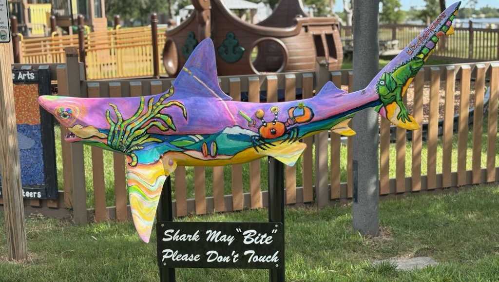 More sharks are popping up in New Smyrna Beach this summer