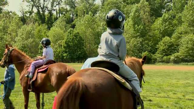 Ranch develops character by introducing city students to horses - Vimarsana News